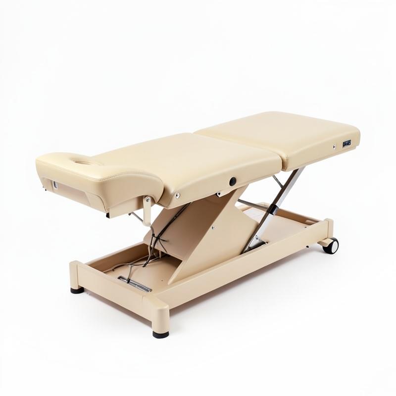 Table de massage professionnelle